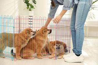 Pet Playpens