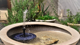 Solar Pond Pumps
