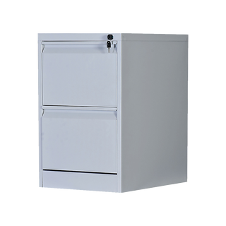 2-Drawer Shelf Office Gym Filing Storage Locker Cabinet