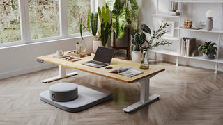 Sit & Stand Desks